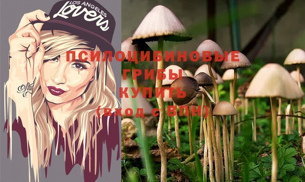 дурь Майский
