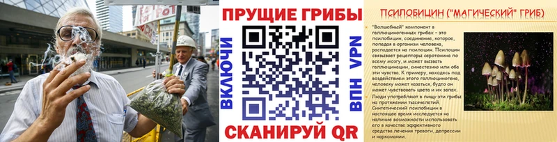 Галлюциногенные грибы Psilocybine cubensis  Сертолово 