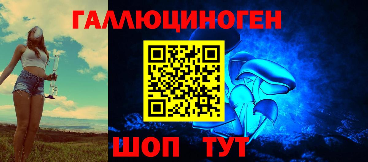 где найти наркотики  Вход с VPN  Сертолово  Галлюциногенные грибы Magic Shrooms  Галлюциногенные грибы мицелий 