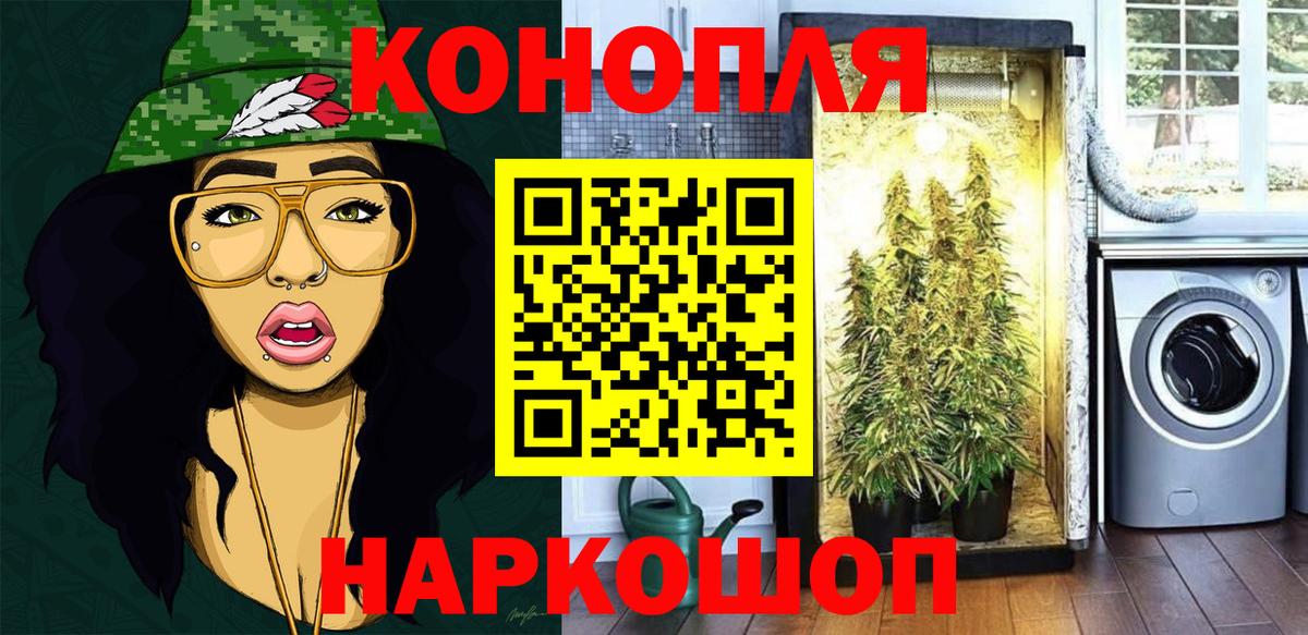 Сертолово  Шишки марихуана сатива  Вход с VPN  Бошки Шишки Bruce Banner  Шишки марихуана индика 